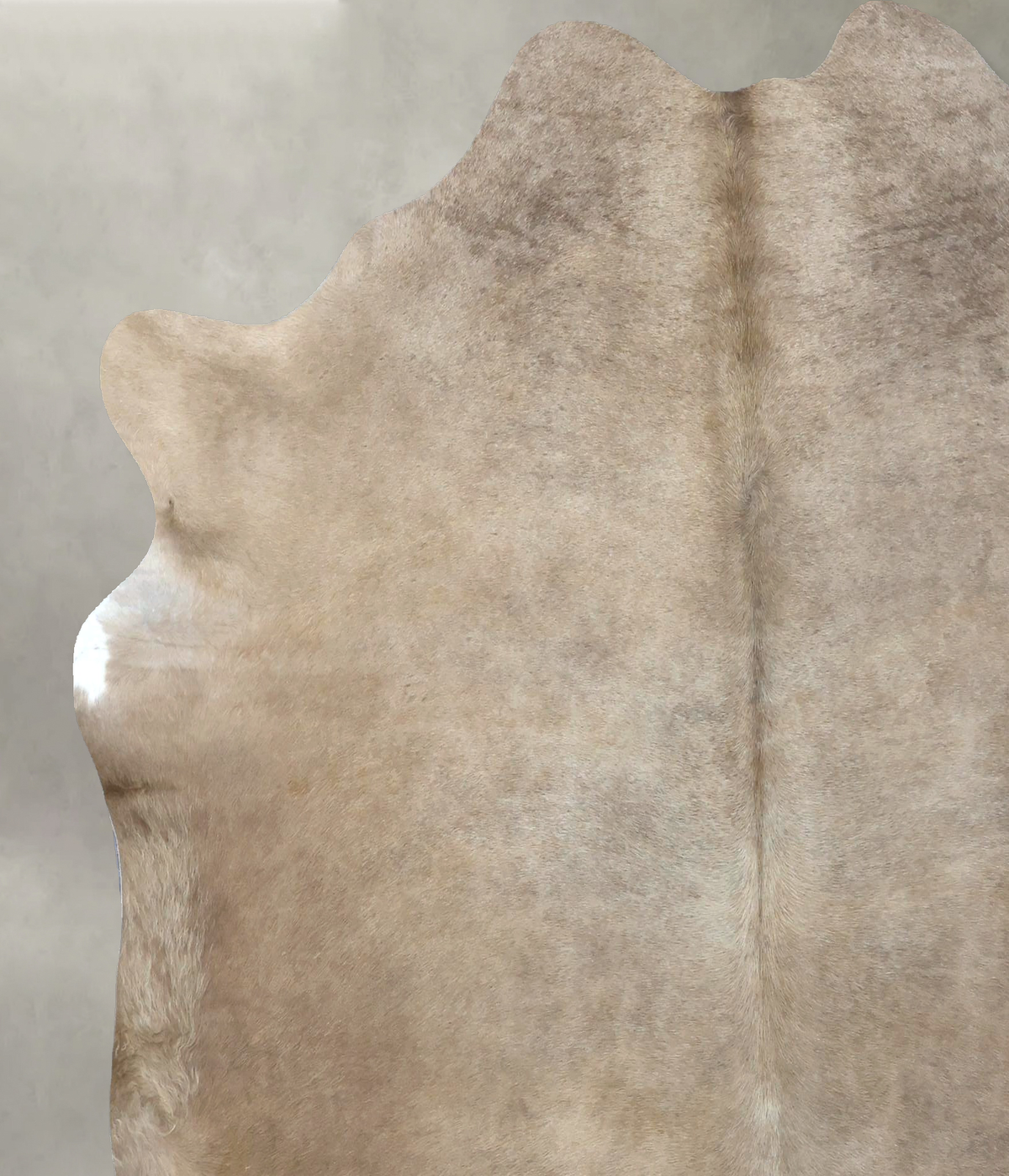 Taupe X-Large Brazilian Cowhide Rug 6'7"H x 6'4"W #B18175 by Hudson Hides