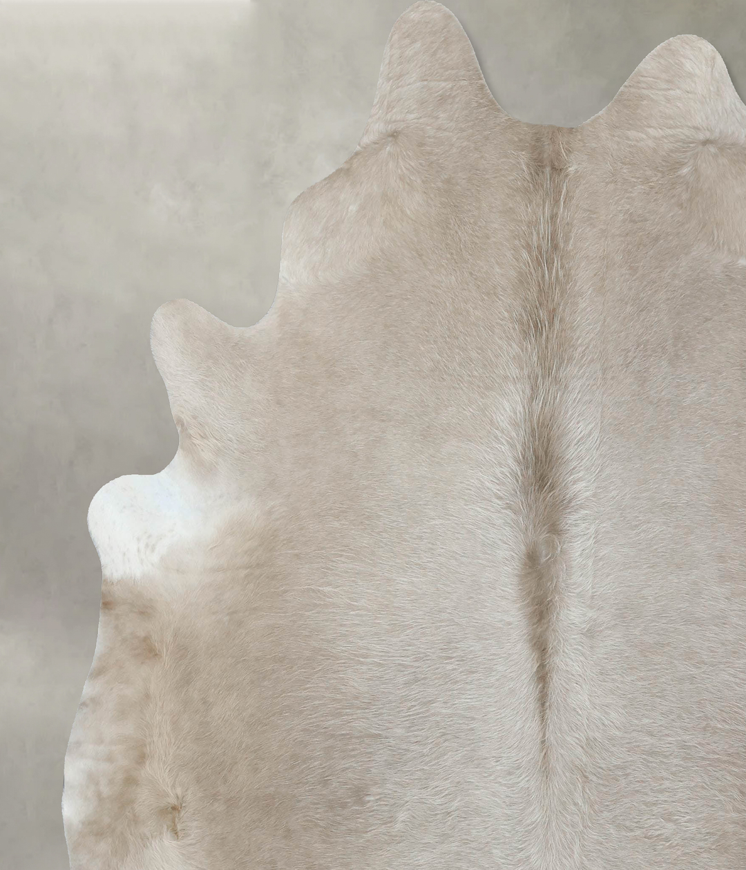 Champagne XX-Large Brazilian Cowhide Rug 7'8"H x 6'11"W #B18177 by Hud