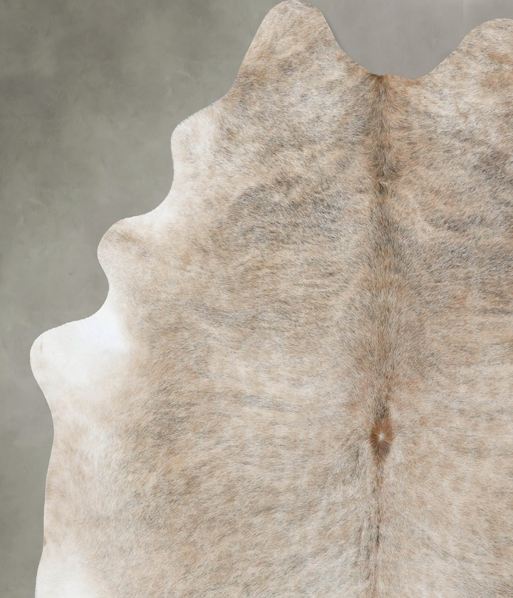 Light Brindle XX-Large Brazilian Cowhide Rug 8'3"H x 6'6"W #B18217 by Hudson Hides