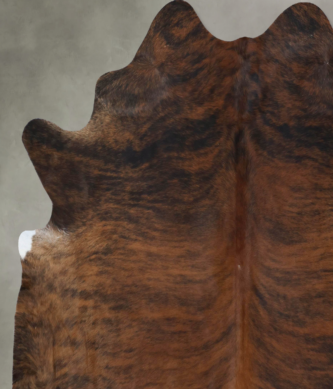Dark Brindle XX-Large Brazilian Cowhide Rug 8'2"H x 7'4"W #B18352 by H