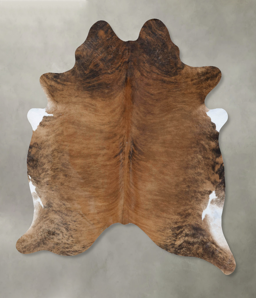 Medium Brindle XX-Large Brazilian Cowhide Rug 8'0"H x 6'8"W #B18359 by Hudson Hides