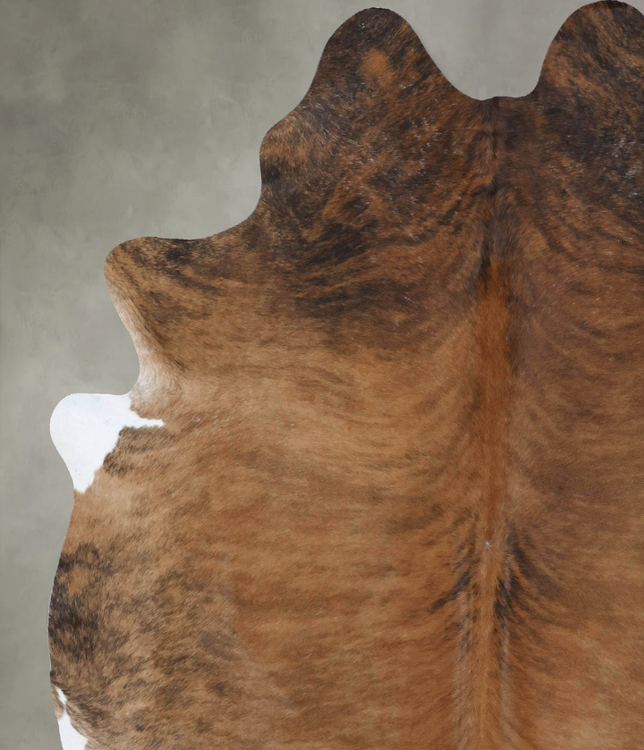 Medium Brindle XX-Large Brazilian Cowhide Rug 8'0"H x 6'8"W #B18359 by Hudson Hides