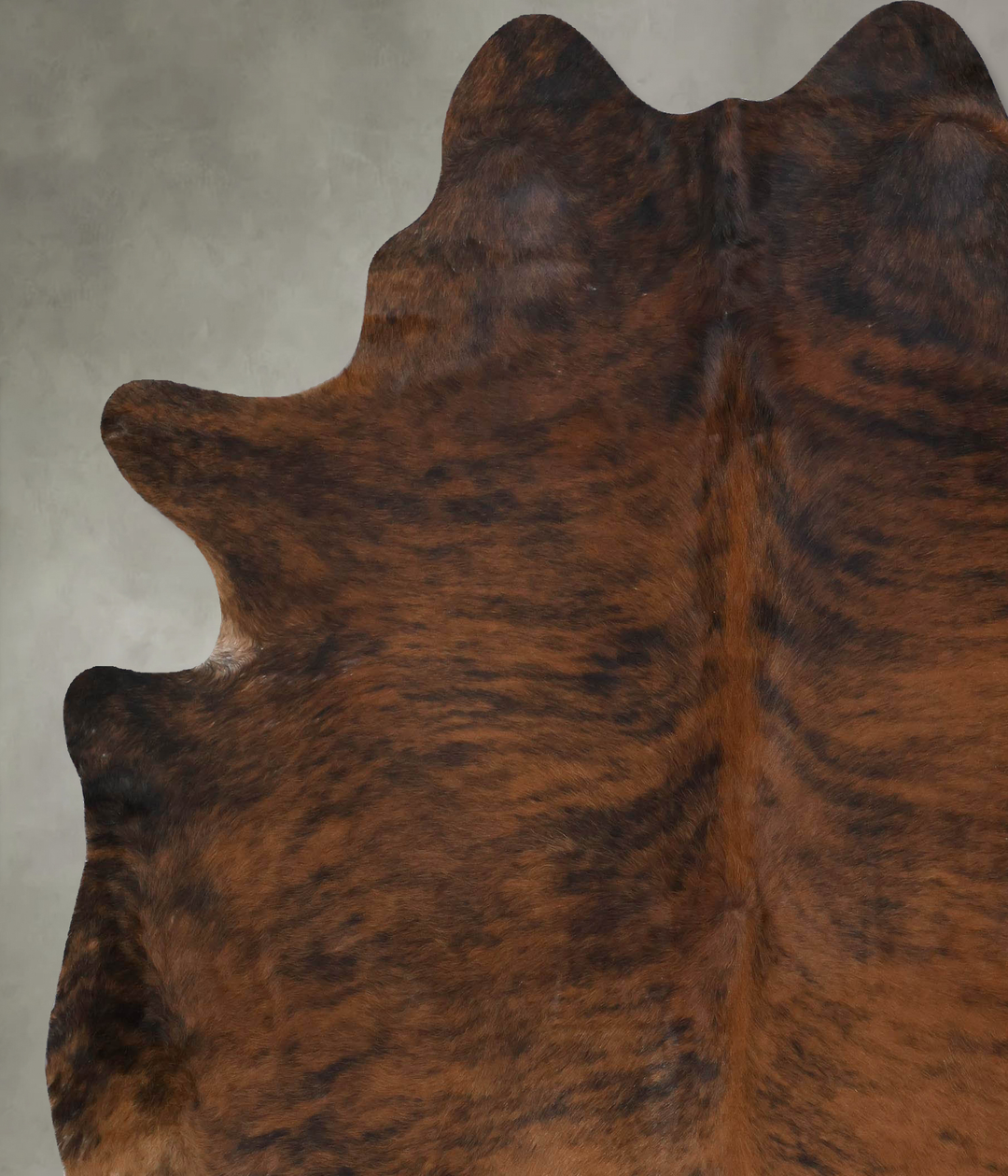 Dark Brindle XX-Large Brazilian Cowhide Rug 8'2"H x 7'1"W #B18360 by H