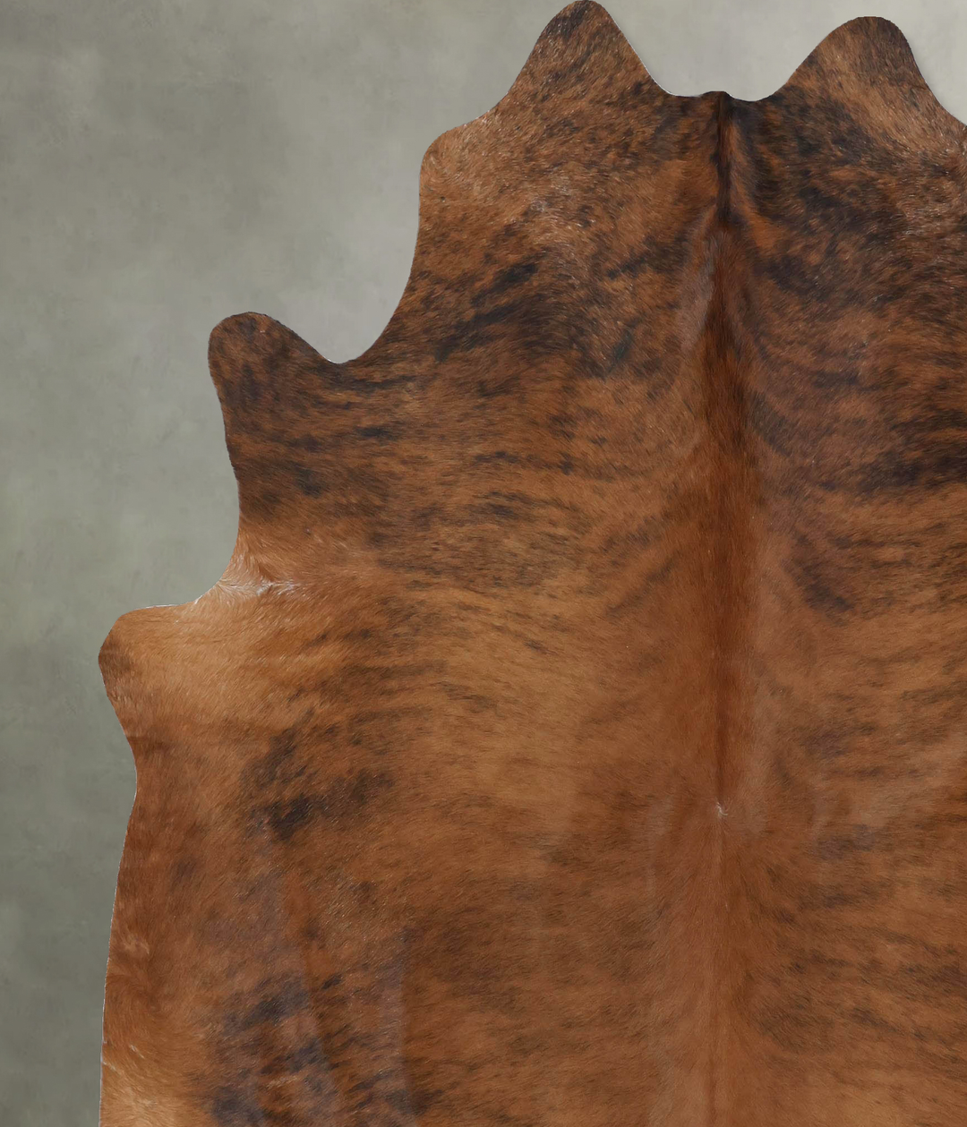 Medium Brindle XX-Large Brazilian Cowhide Rug 8'1"H x 6'10"W #B18361 b