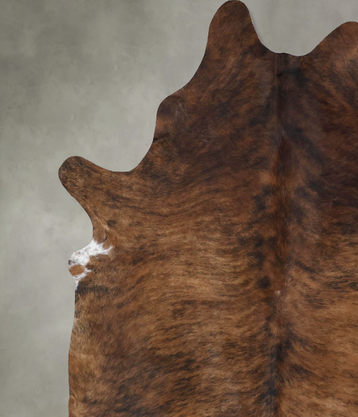 Medium Brindle XX-Large Brazilian Cowhide Rug 8'2"H x 6'6"W #B18370 by Hudson Hides
