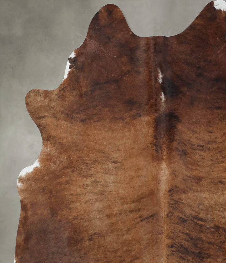 Medium Brindle X-Large Brazilian Cowhide Rug 6'10"H x 6'3"W #B18389 by Hudson Hides