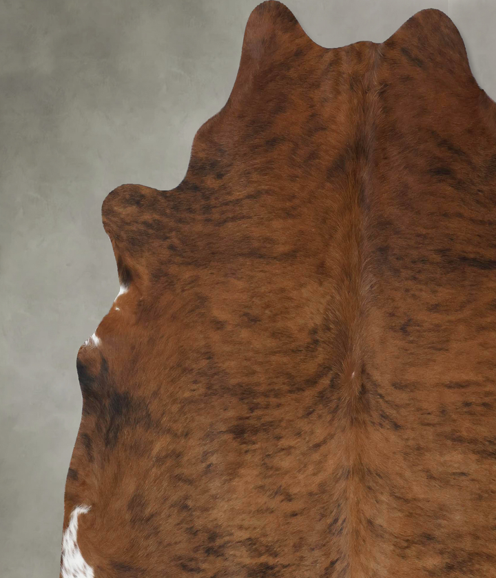Medium Brindle X-Large Brazilian Cowhide Rug 6'4"H x 6'7"W #B18395 by Hudson Hides