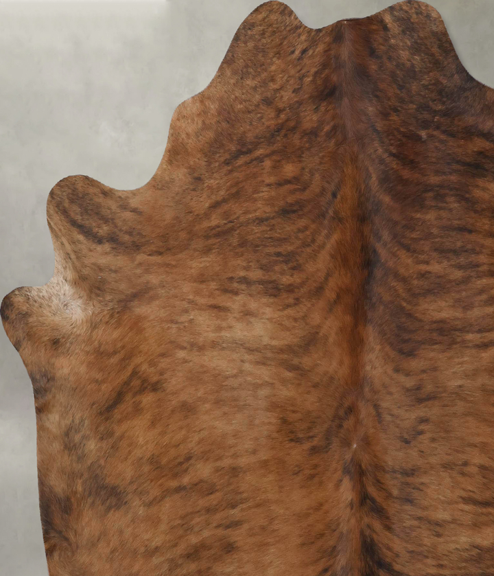 Medium Brindle Large Brazilian Cowhide Rug 6'6"H x 6'0"W #B18396 by Hudson Hides