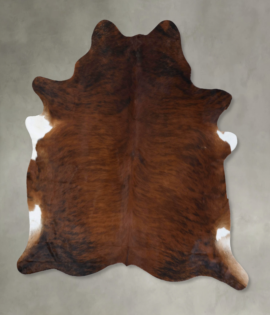 Medium Brindle XX-Large Brazilian Cowhide Rug 8'0"H x 7'0"W #B18400 by Hudson Hides