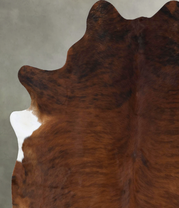 Medium Brindle XX-Large Brazilian Cowhide Rug 8'0"H x 7'0"W #B18400 by Hudson Hides