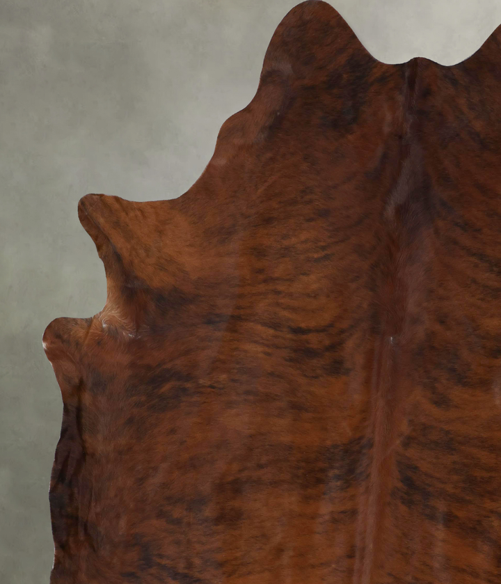 Medium Brindle XX-Large Brazilian Cowhide Rug 8'9"H x 7'6"W #B18403 by Hudson Hides