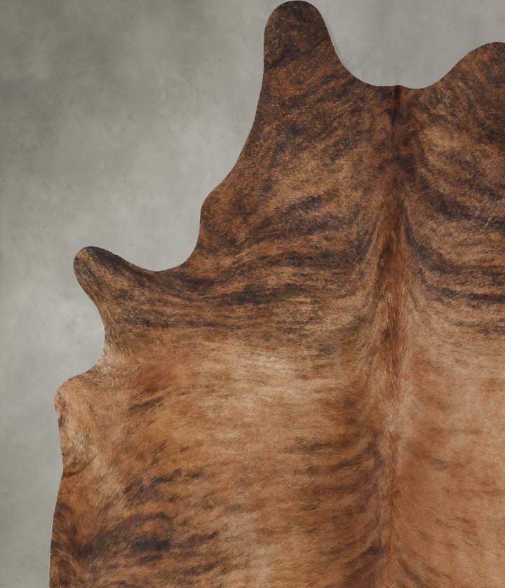 Medium Brindle XX-Large Brazilian Cowhide Rug 8'3"H x 6'8"W #B18410 by Hudson Hides