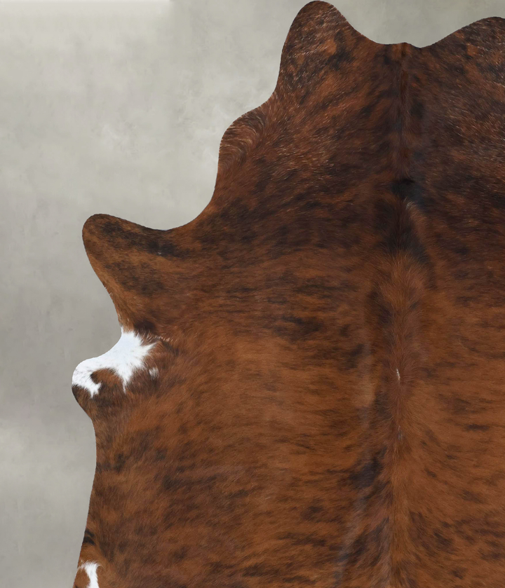 Medium Brindle XX-Large Brazilian Cowhide Rug 8'1"H x 6'10"W #B18421 by Hudson Hides