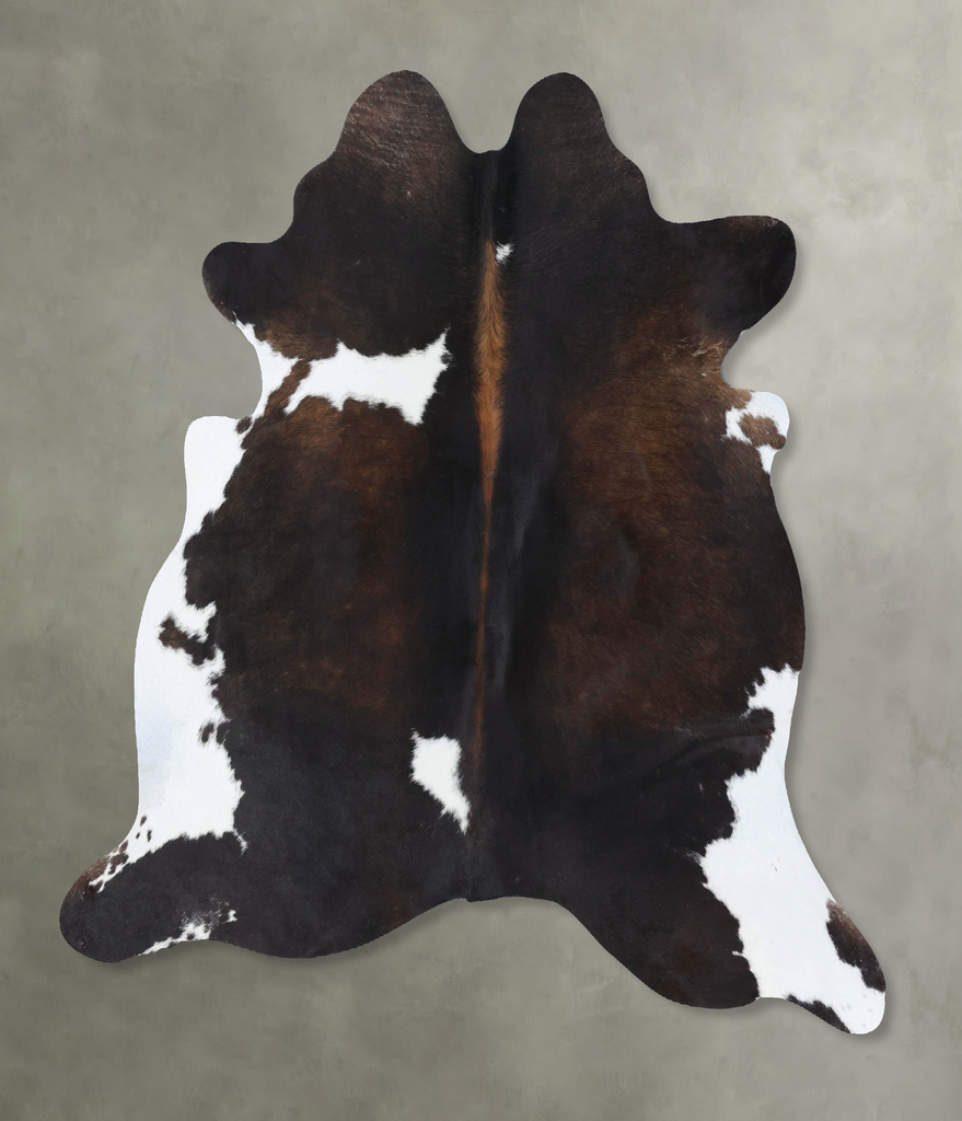 Chocolate and White Large Brazilian Cowhide Rug 6'1"H x 5'11"W #B18436 by Hudson Hides