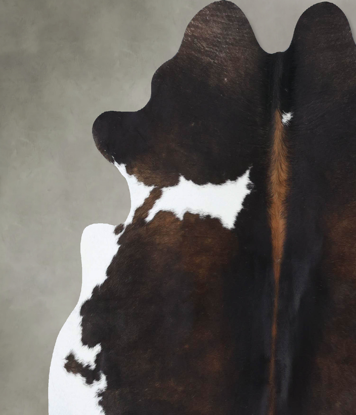 Chocolate and White Large Brazilian Cowhide Rug 6'1"H x 5'11"W #B18436 by Hudson Hides