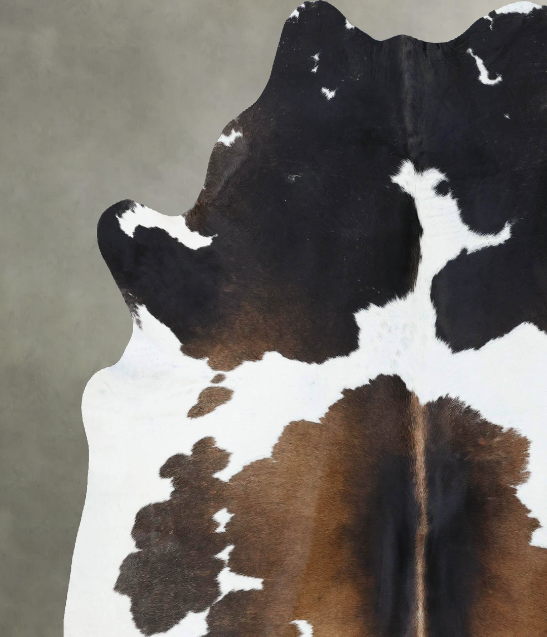 Chocolate and White X-Large Brazilian Cowhide Rug 7'3"H x 6'5"W #B1843