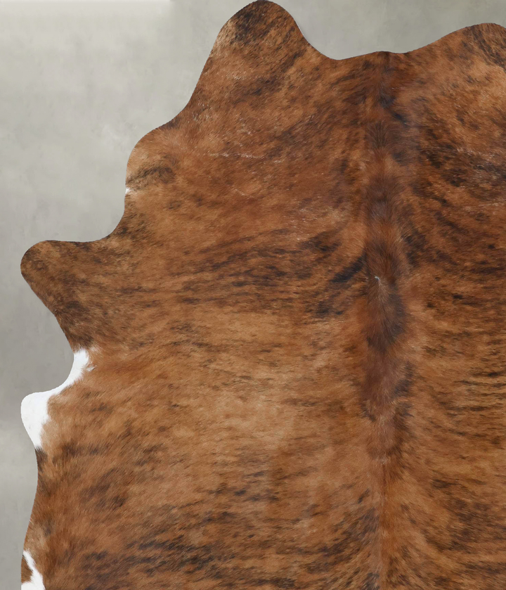 Medium Brindle X-Large Brazilian Cowhide Rug 7'8"H x 5'10"W #B18446 by Hudson Hides