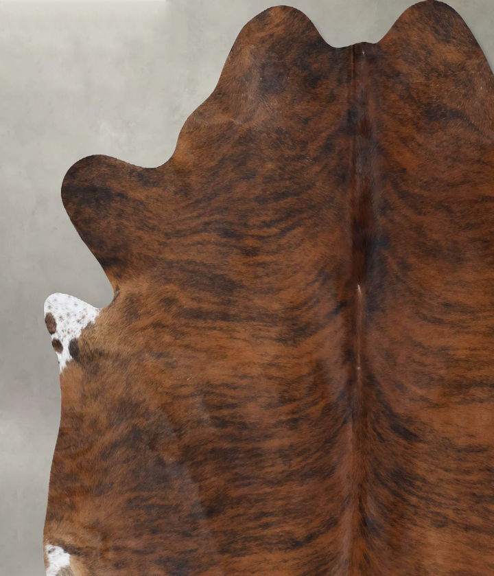 Medium Brindle XX-Large Brazilian Cowhide Rug 8'0"H x 6'8"W #B18448 by Hudson Hides