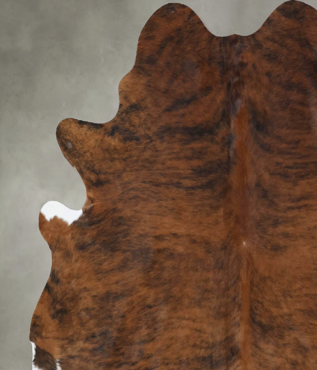 Medium Brindle XX-Large Brazilian Cowhide Rug 7'10"H x 6'9"W #B18454 b