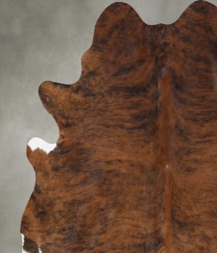 Medium Brindle XX-Large Brazilian Cowhide Rug 7'10"H x 6'9"W #B18454 by Hudson Hides