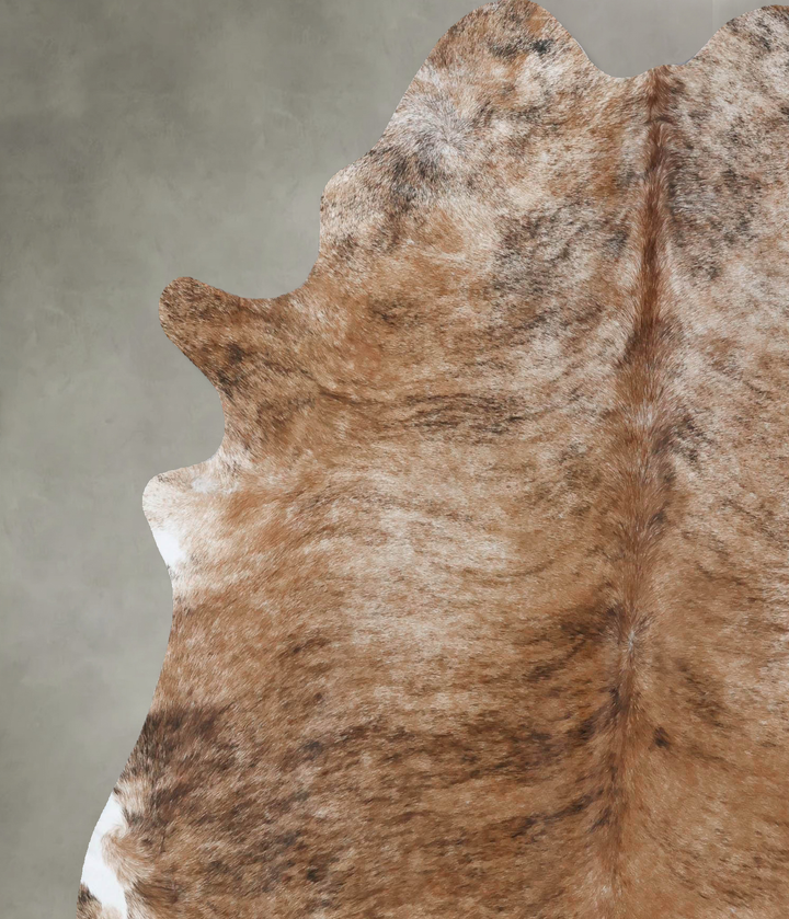 Medium Brindle X-Large Brazilian Cowhide Rug 7'2"H x 5'10"W #B18462 by Hudson Hides