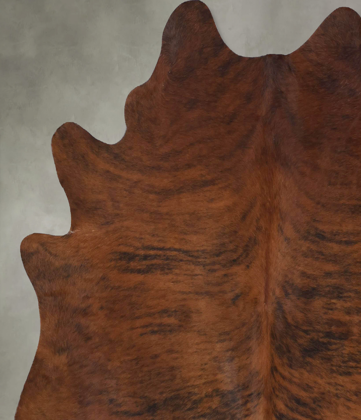 Medium Brindle X-Large Brazilian Cowhide Rug 7'0"H x 6'5"W #B18476 by Hudson Hides
