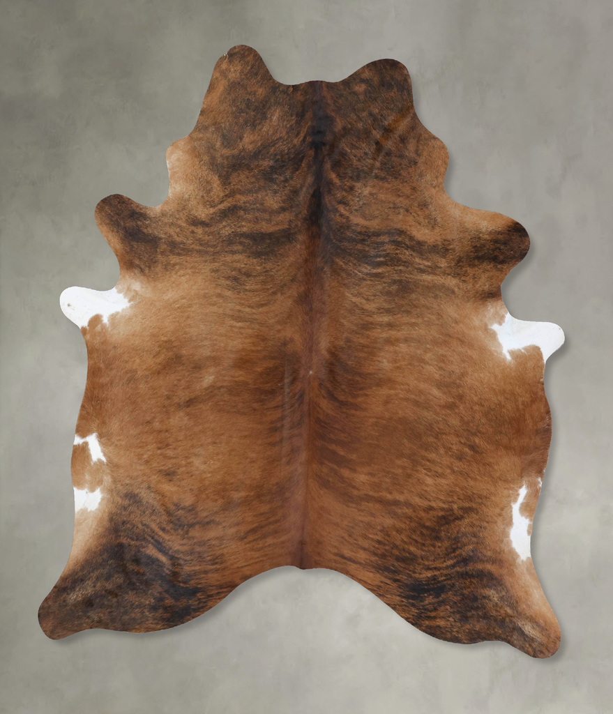 Medium Brindle X-Large Brazilian Cowhide Rug 7'11"H x 6'1"W #B18479 by Hudson Hides