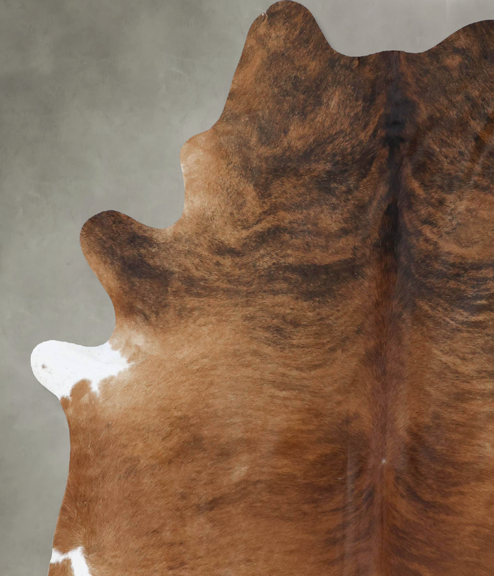 Medium Brindle X-Large Brazilian Cowhide Rug 7'11"H x 6'1"W #B18479 by Hudson Hides