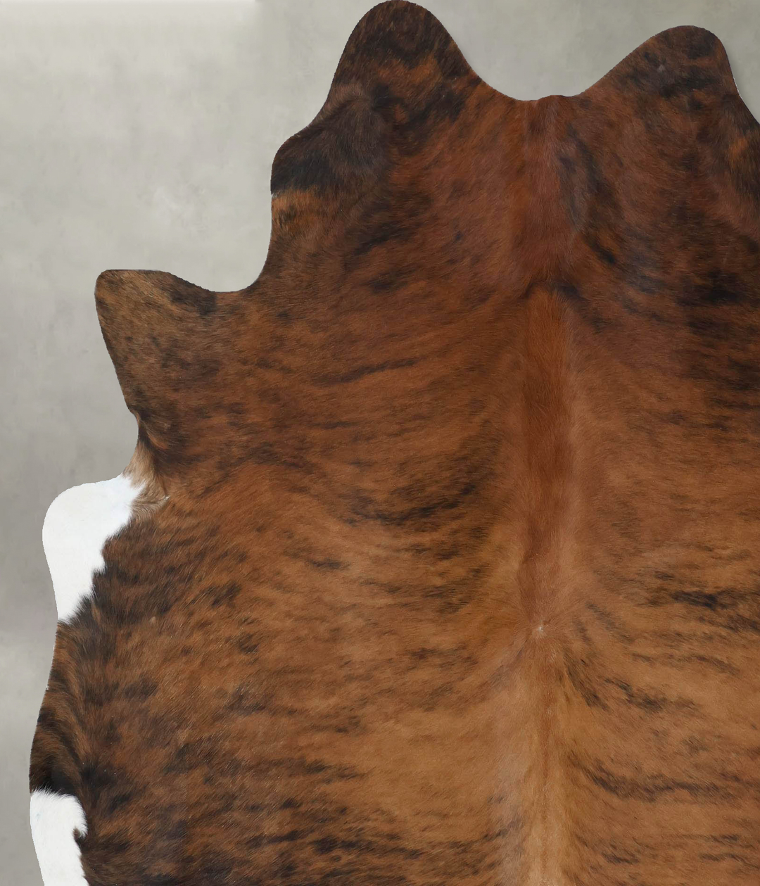 Medium Brindle X-Large Brazilian Cowhide Rug 7'5"H x 6'4"W #B18481 by 