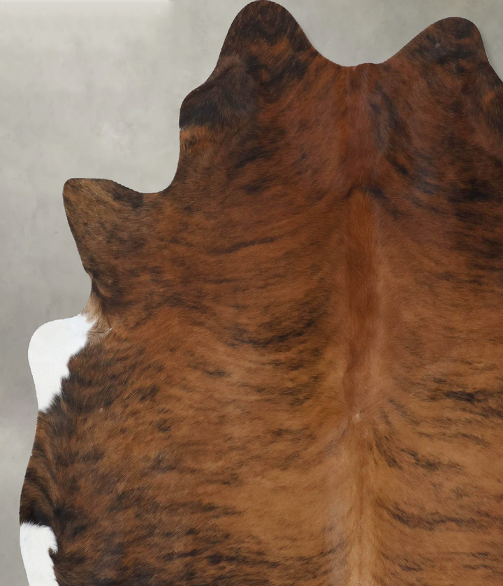 Medium Brindle X-Large Brazilian Cowhide Rug 7'5"H x 6'4"W #B18481 by Hudson Hides