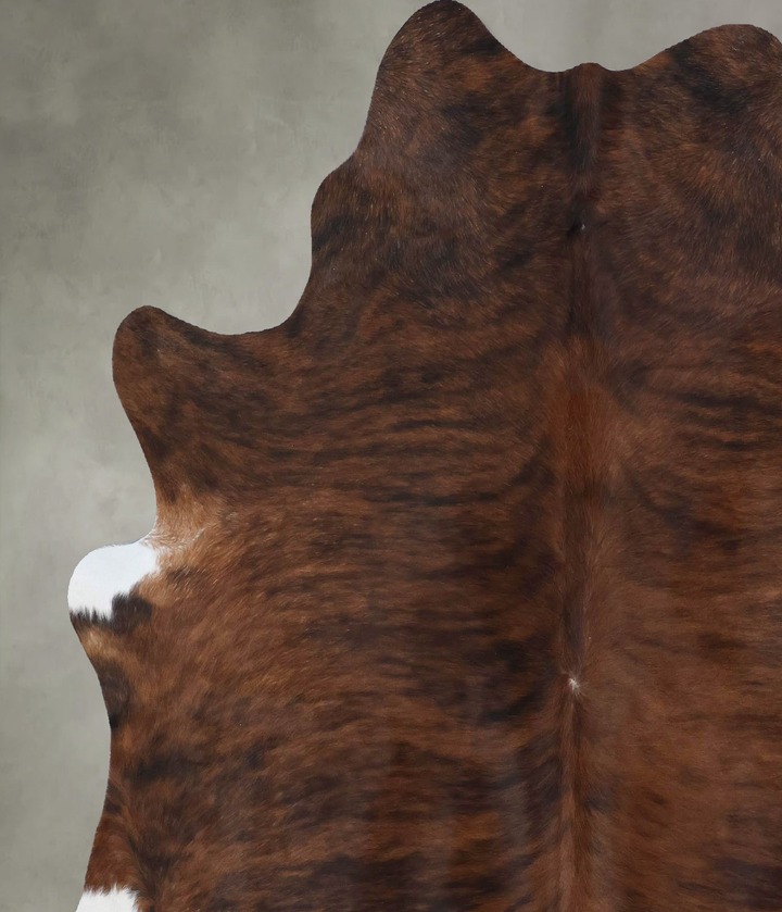Medium Brindle X-Large Brazilian Cowhide Rug 7'1"H x 6'3"W #B18489 by Hudson Hides
