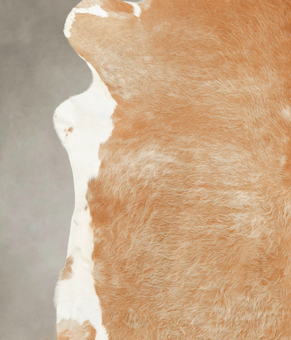 Beige XX-Large Brazilian Cowhide Rug 7'7"H x 7'4"W #B1849 by Hudson Hides