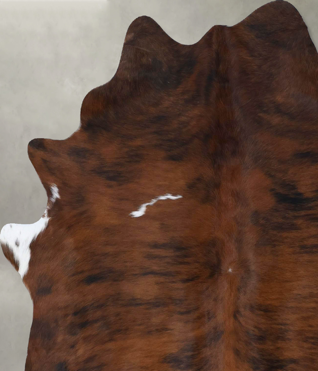 Tricolor Large Brazilian Cowhide Rug 6'2"H x 5'1"W #B18492 by Hudson H