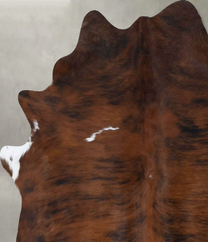 Tricolor Large Brazilian Cowhide Rug 6'2"H x 5'1"W #B18492 by Hudson Hides