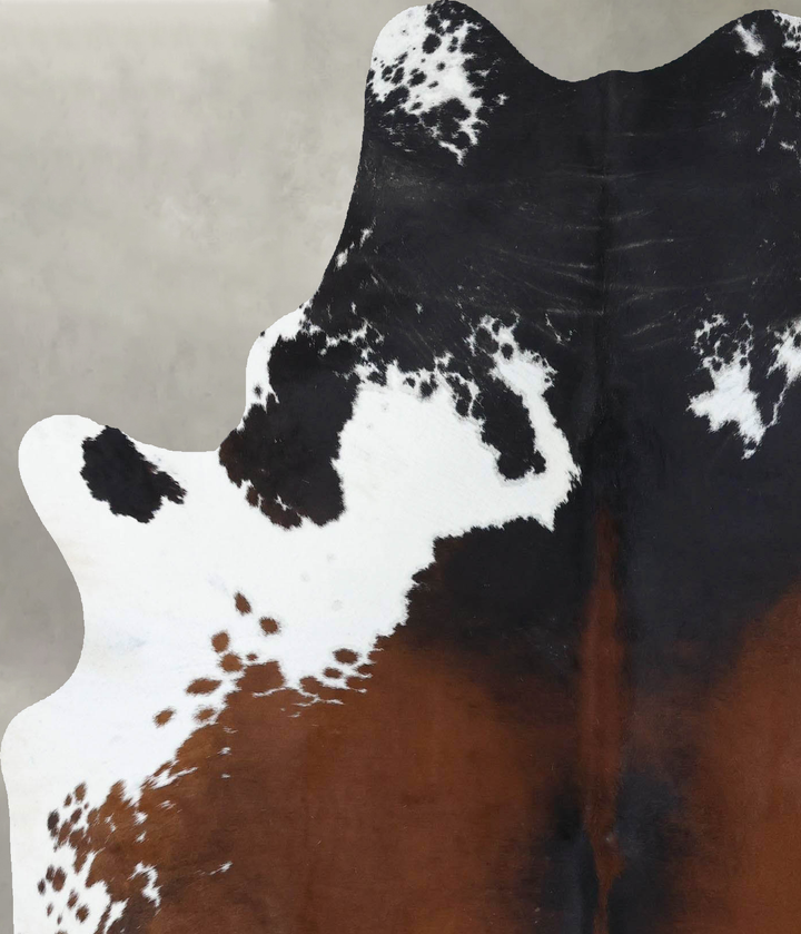 Chocolate and White Large Brazilian Cowhide Rug 6'6"H x 5'6"W #B18496 by Hudson Hides