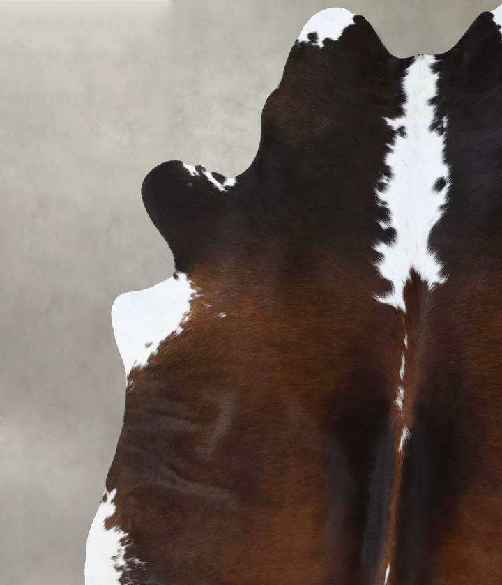 Chocolate and White X-Large Brazilian Cowhide Rug 7'1"H x 6'0"W #B18503 by Hudson Hides