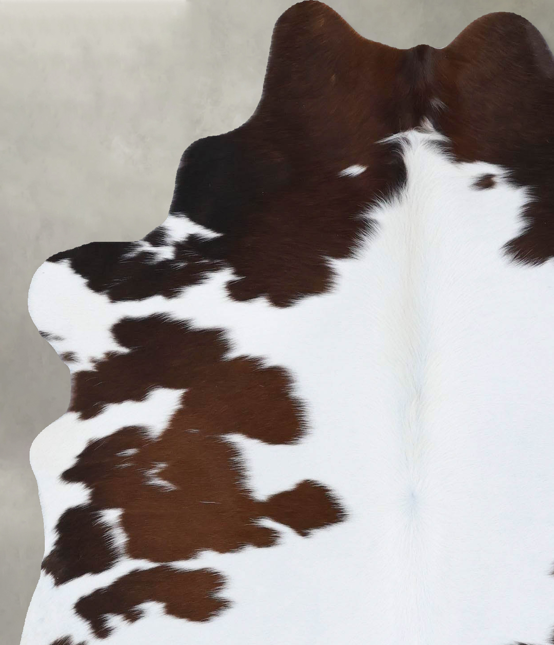 Chocolate and White Medium Brazilian Cowhide Rug 6'1"H x 4'10"W #B1850