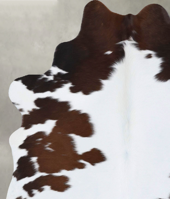 Chocolate and White Medium Brazilian Cowhide Rug 6'1"H x 4'10"W #B18505 by Hudson Hides