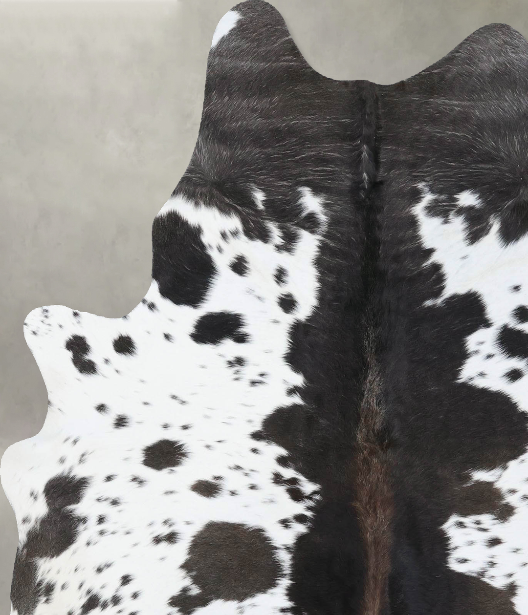 Chocolate and White Large Brazilian Cowhide Rug 6'9"H x 5'5"W #B18509 