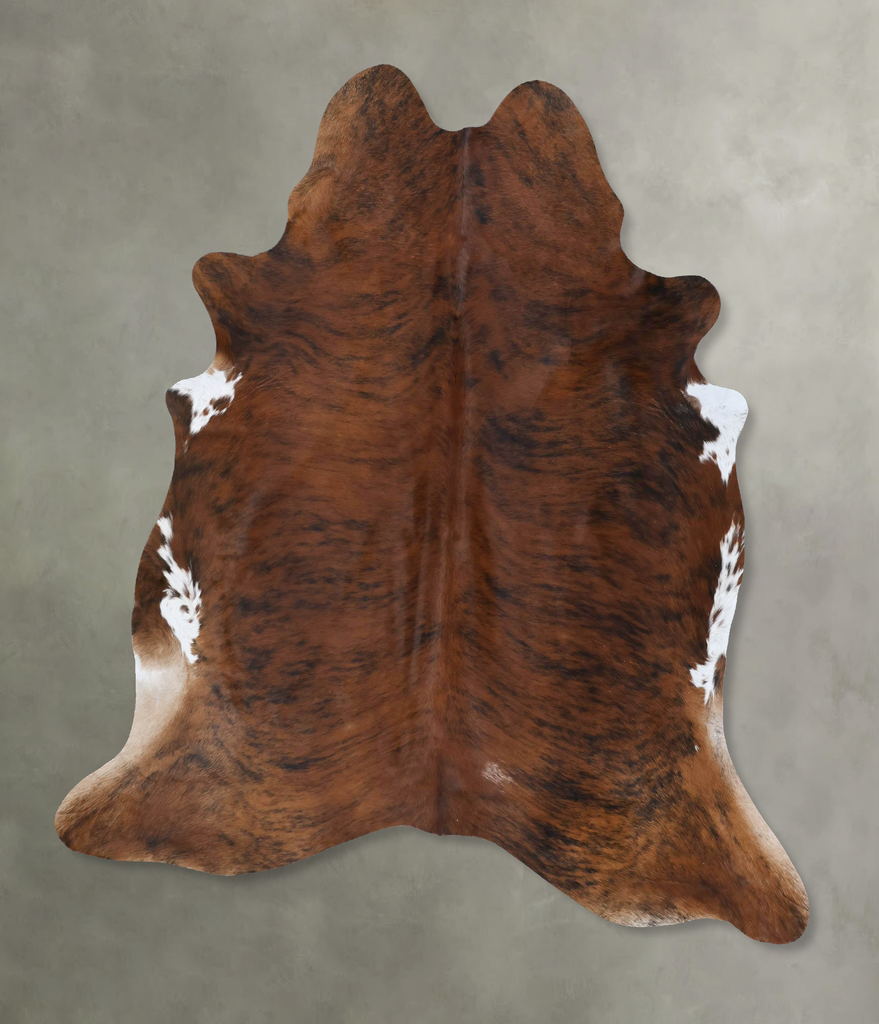 Medium Brindle X-Large Brazilian Cowhide Rug 7'1"H x 5'11"W #B18519 by Hudson Hides