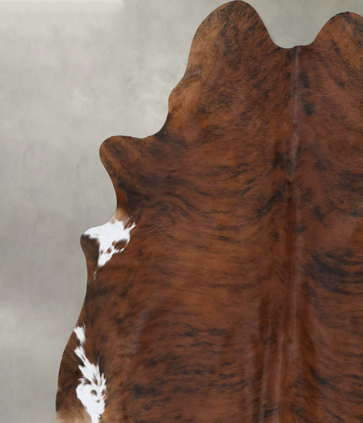 Medium Brindle X-Large Brazilian Cowhide Rug 7'1"H x 5'11"W #B18519 by Hudson Hides