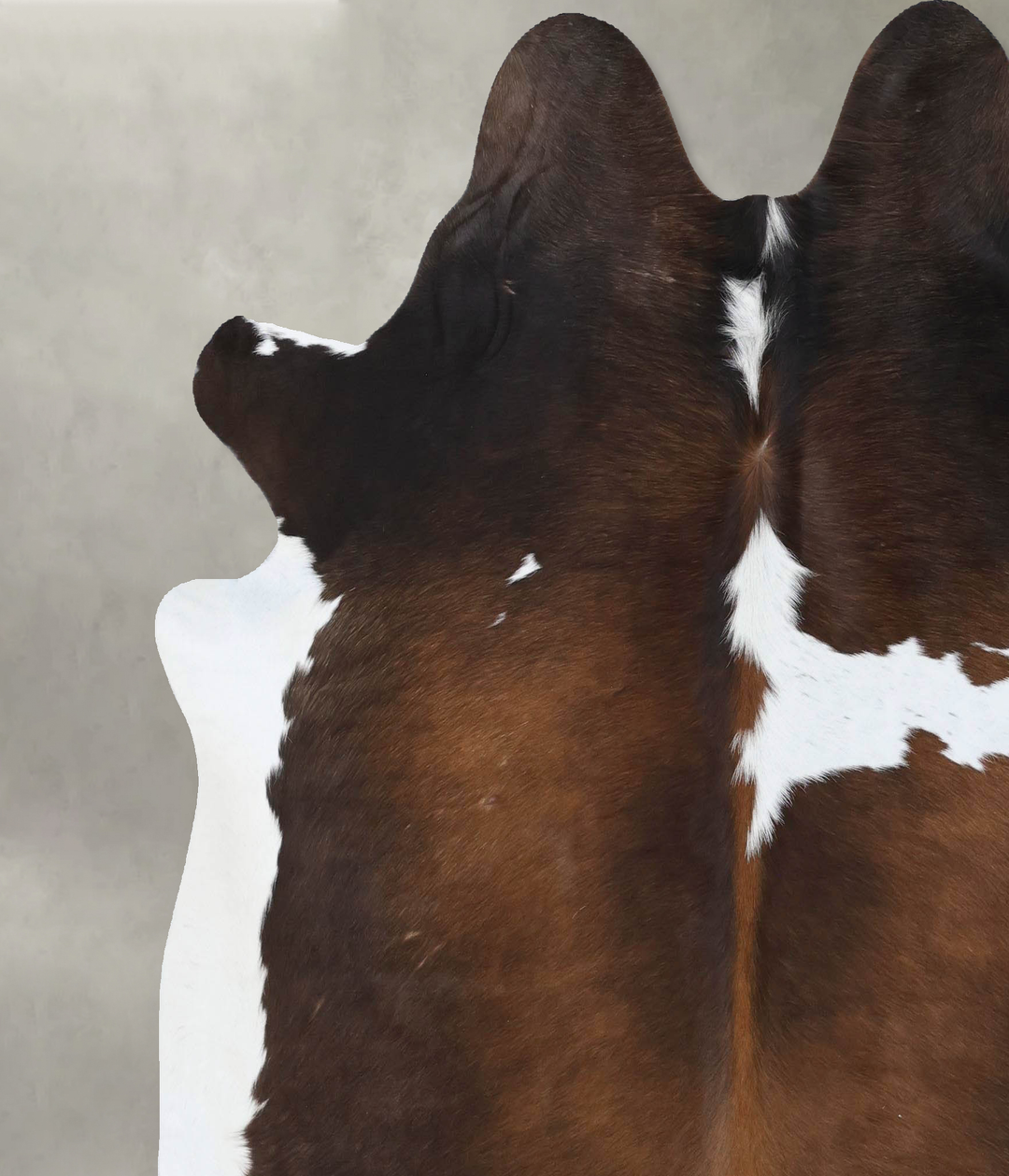 Chocolate and White X-Large Brazilian Cowhide Rug 7'0"H x 6'10"W #B185