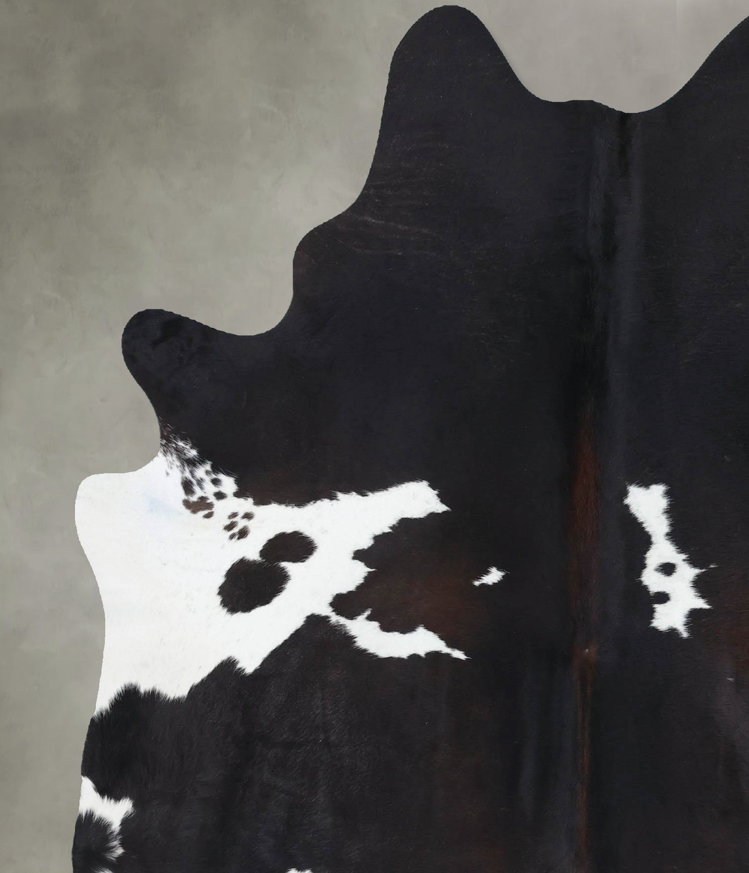 Chocolate and White X-Large Brazilian Cowhide Rug 7'6"H x 5'11"W #B185