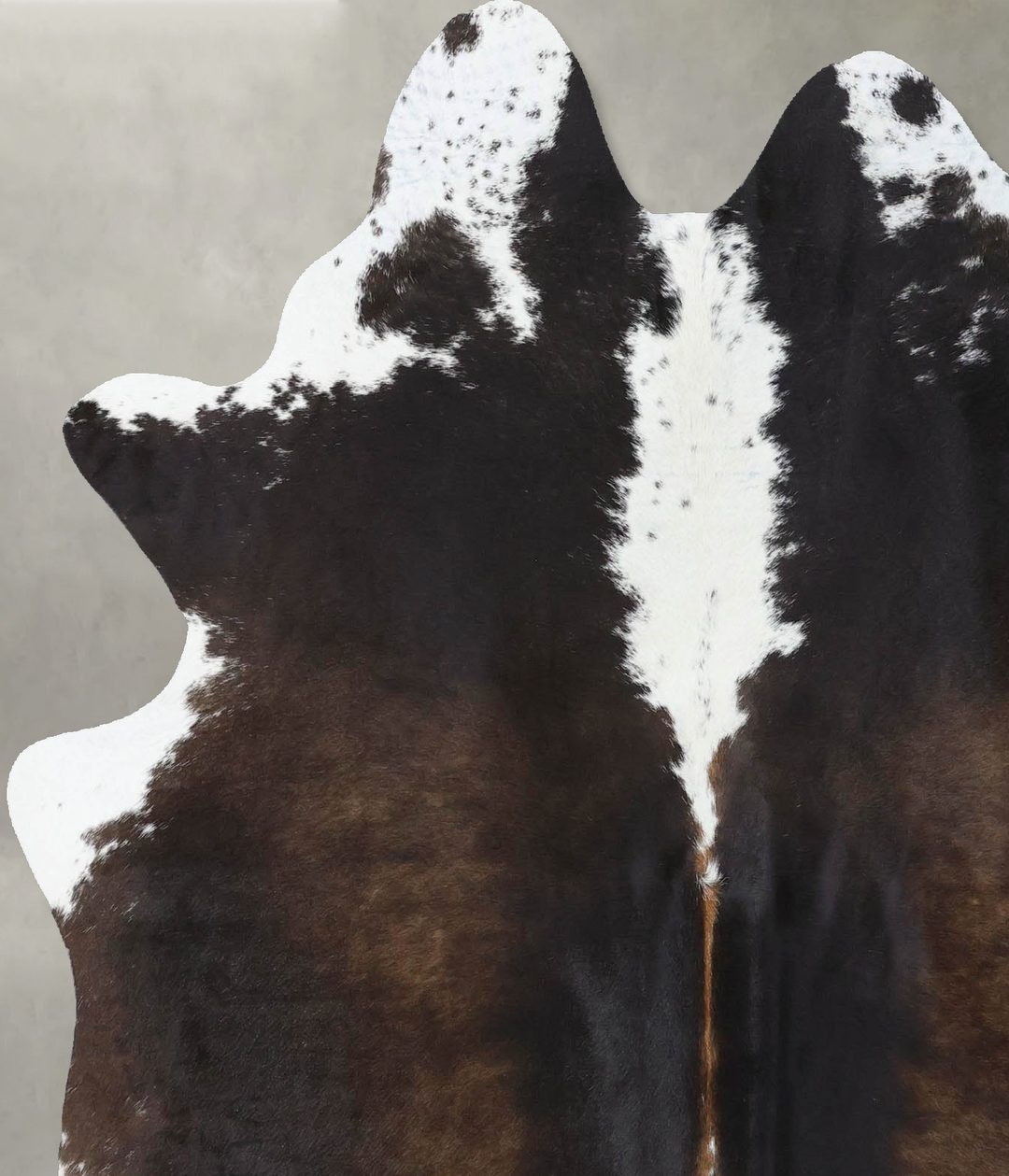 Chocolate and White Large Brazilian Cowhide Rug 6'6"H x 5'4"W #B18524 