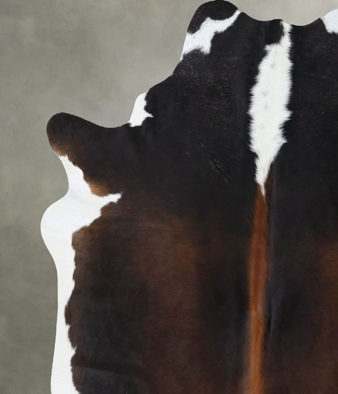 Chocolate and White X-Large Brazilian Cowhide Rug 7'1"H x 6'5"W #B1852