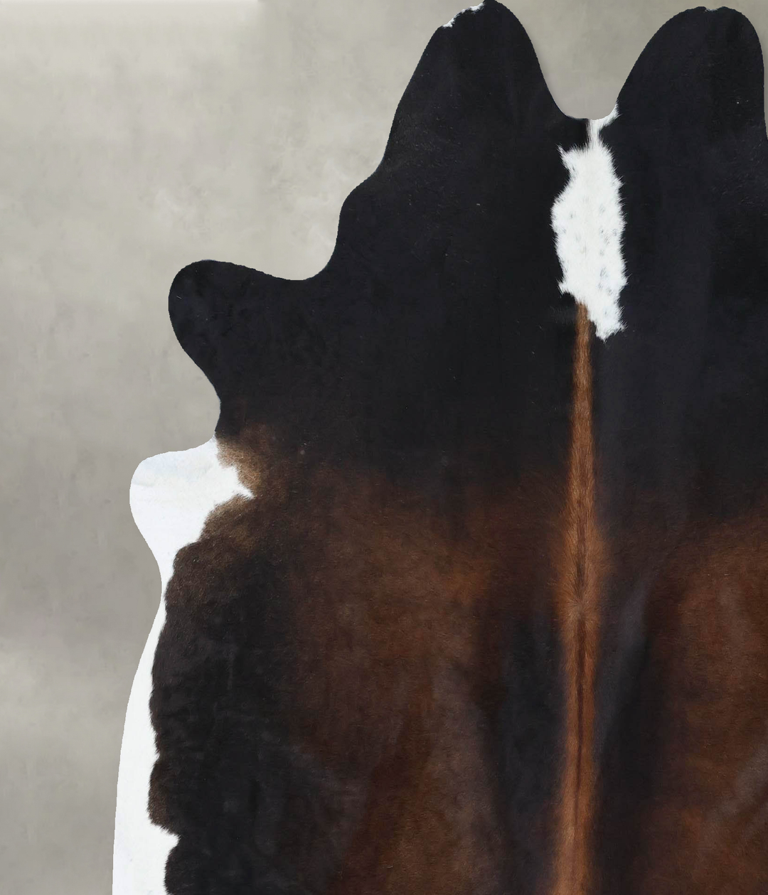 Chocolate and White X-Large Brazilian Cowhide Rug 6'10"H x 6'5"W #B185