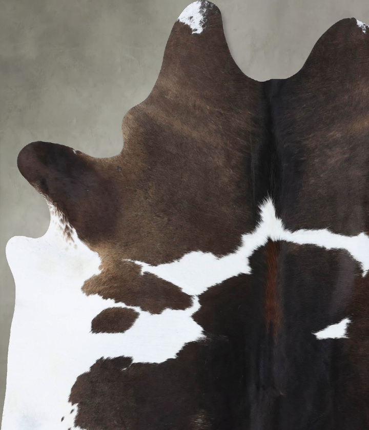 Chocolate and White Large Brazilian Cowhide Rug 7'1"H x 5'5"W #B18529 by Hudson Hides