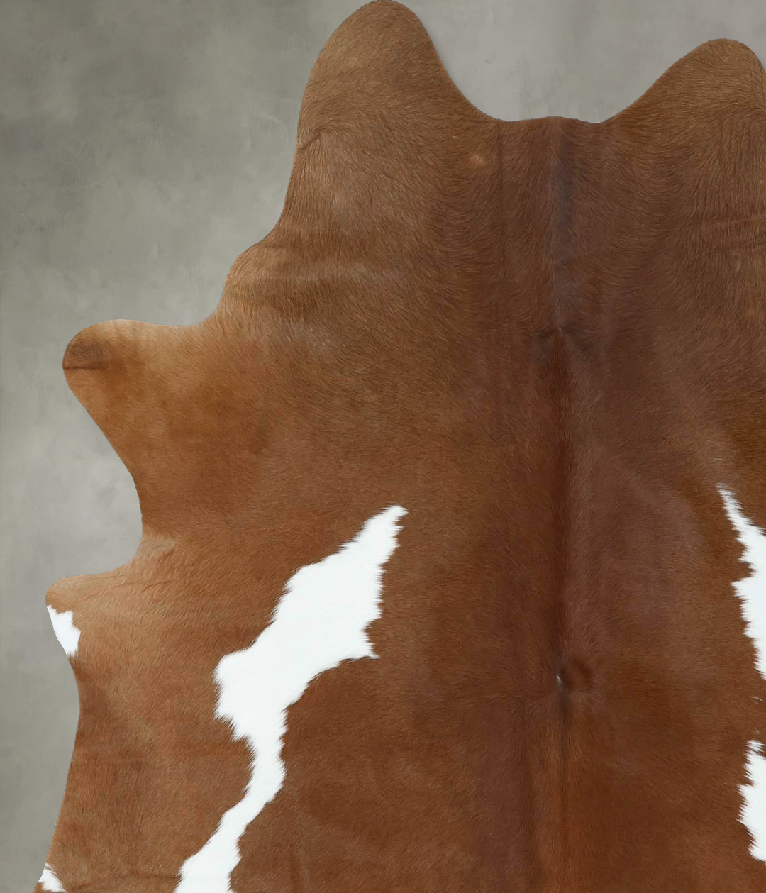 Brown and White Large Brazilian Cowhide Rug 6'10"H x 5'5"W #B18615 by 