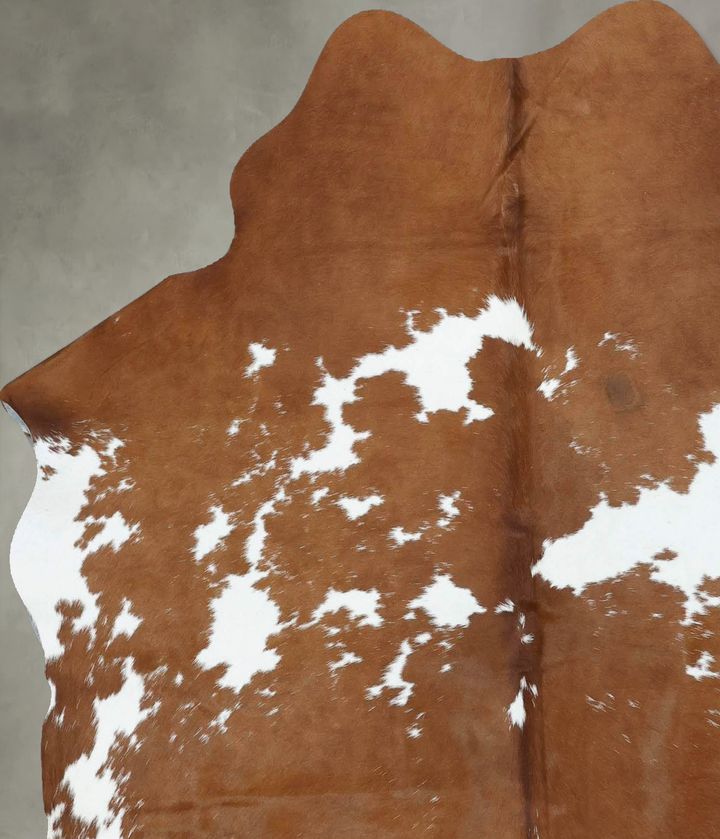 Brown and White Medium Brazilian Cowhide Rug 5'9"H x 5'1"W #B18618 by Hudson Hides