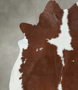 Brown and White X-Large Brazilian Cowhide Rug 7'9"H x 6'4"W #B18622 by Hudson Hides